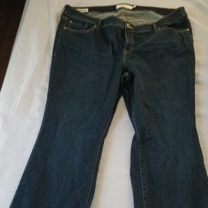 Torrid Jeans